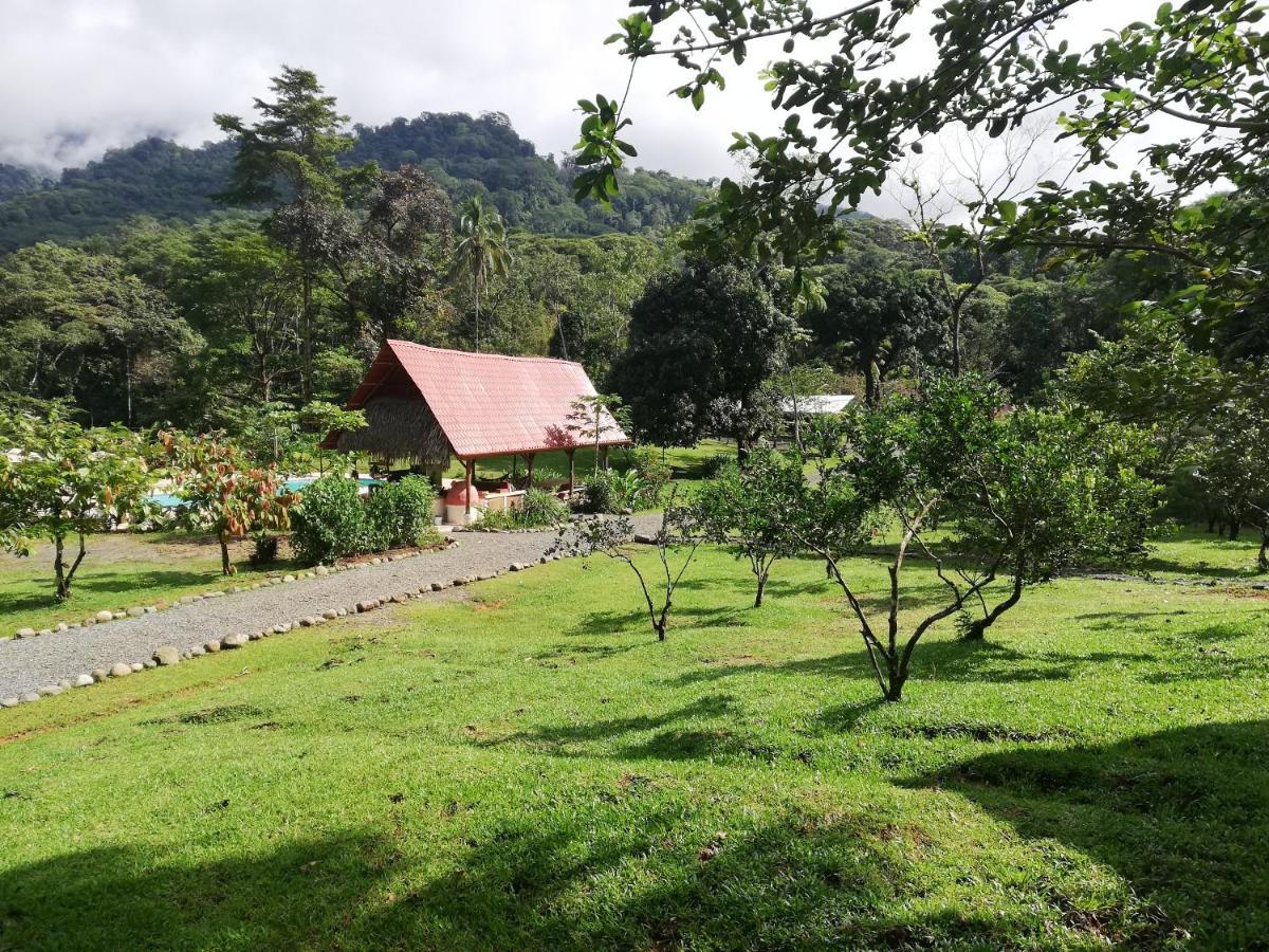 Hacienda Mil Bellezas - Private 40Ha Jungle Reserve Quepos Exteriör bild