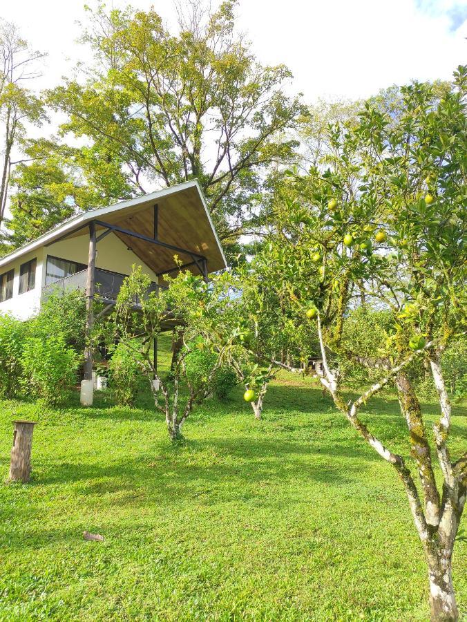 Hacienda Mil Bellezas - Private 40Ha Jungle Reserve Quepos Rum bild