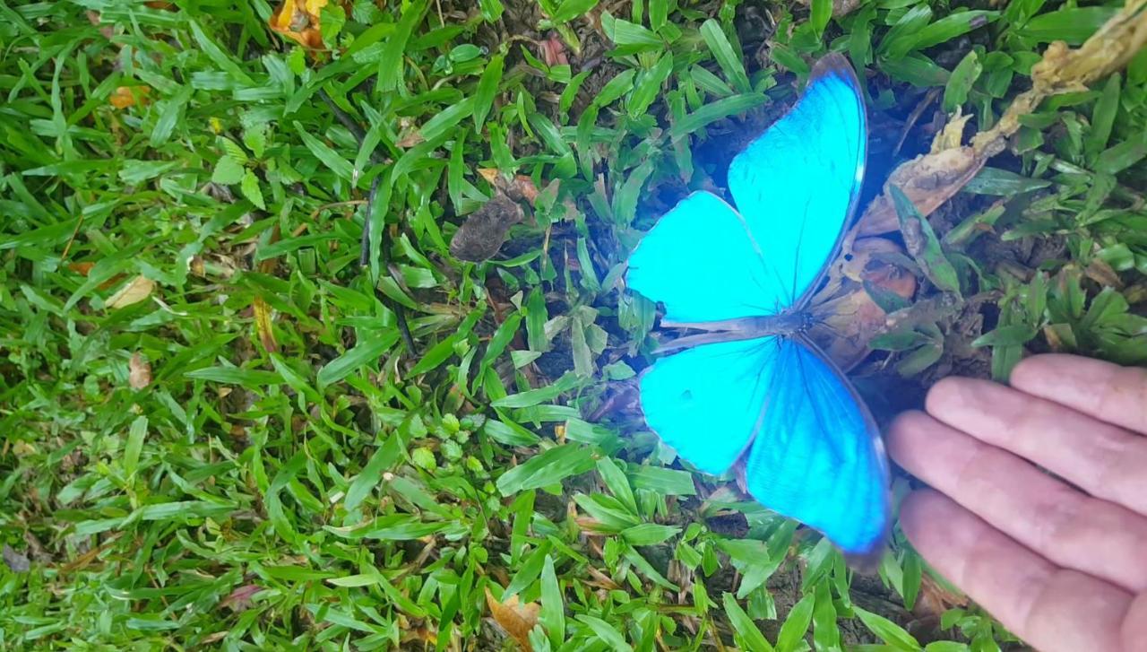 Hacienda Mil Bellezas - Private 40Ha Jungle Reserve Quepos Exteriör bild