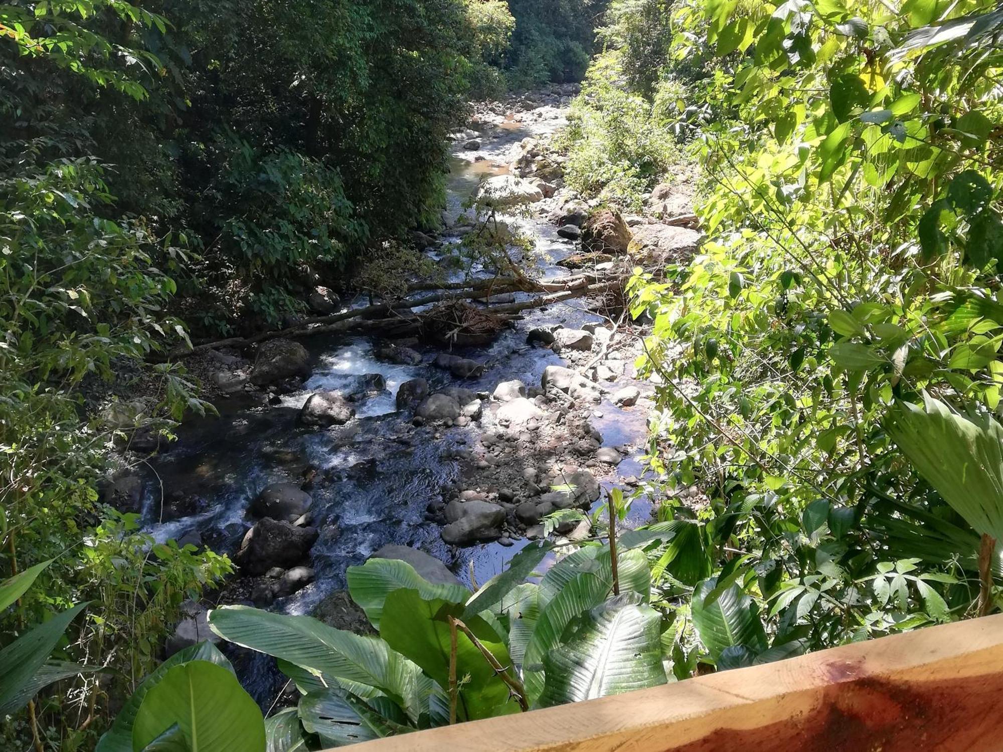 Hacienda Mil Bellezas - Private 40Ha Jungle Reserve Quepos Exteriör bild