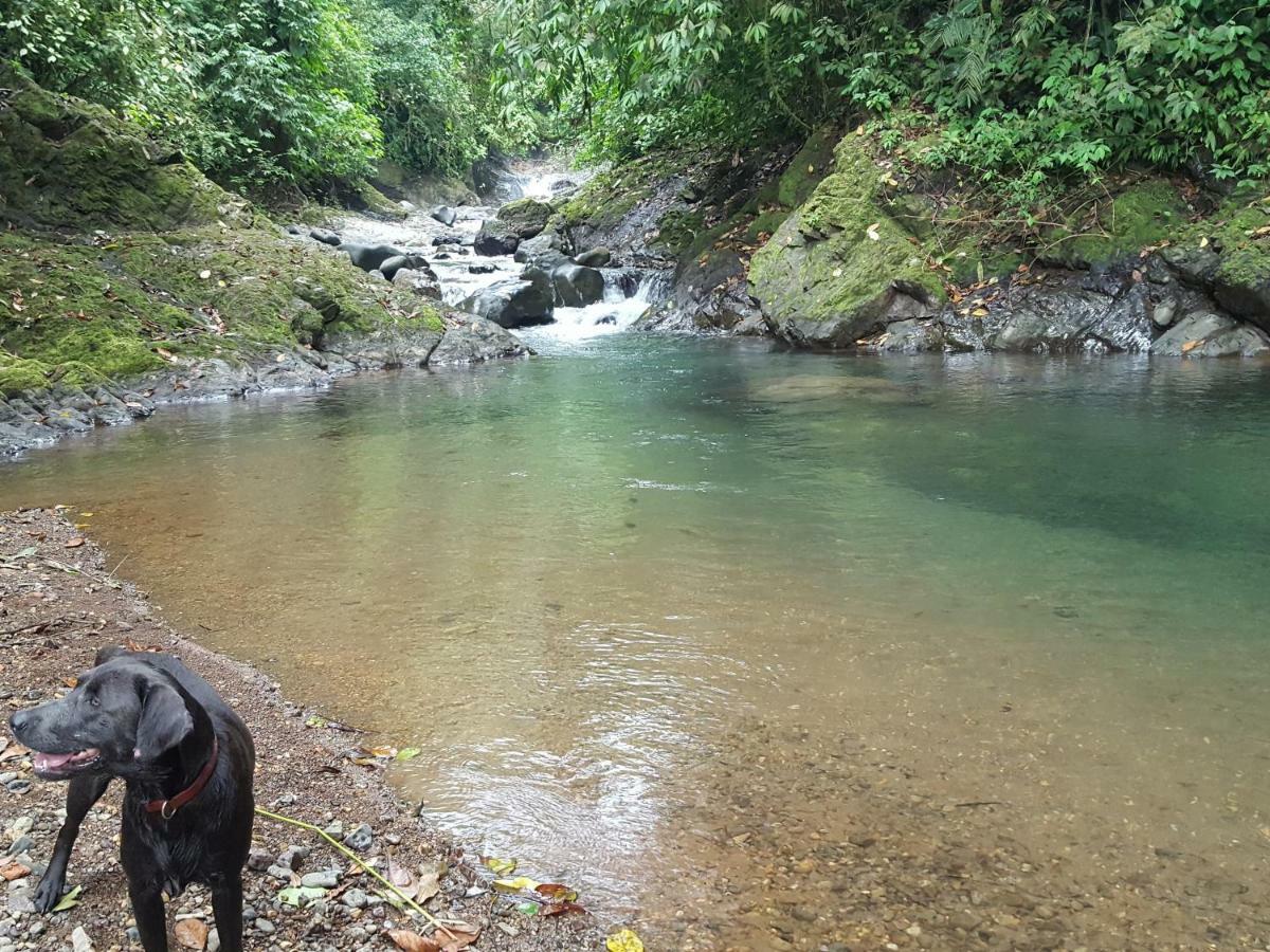 Hacienda Mil Bellezas - Private 40Ha Jungle Reserve Quepos Exteriör bild