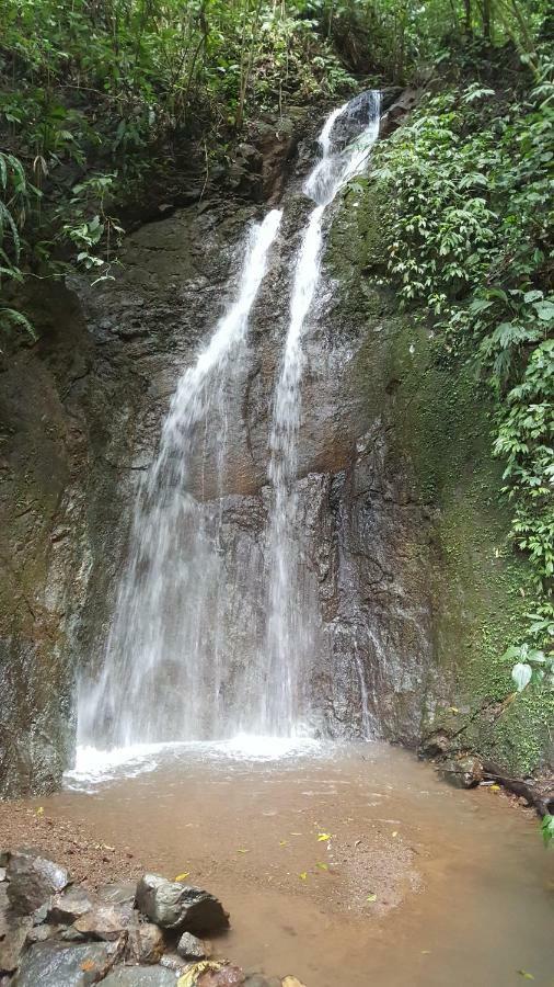 Hacienda Mil Bellezas - Private 40Ha Jungle Reserve Quepos Exteriör bild