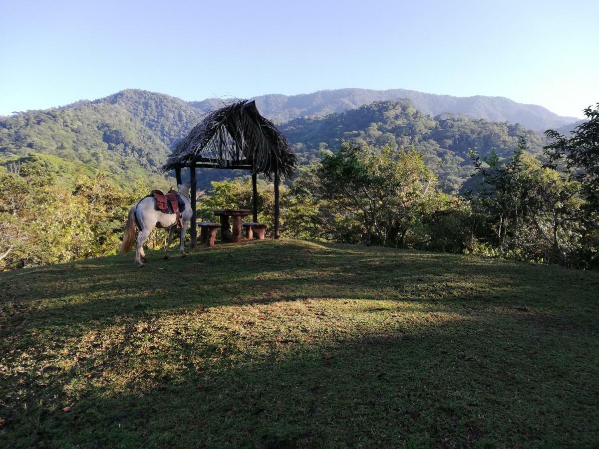 Hacienda Mil Bellezas - Private 40Ha Jungle Reserve Quepos Exteriör bild