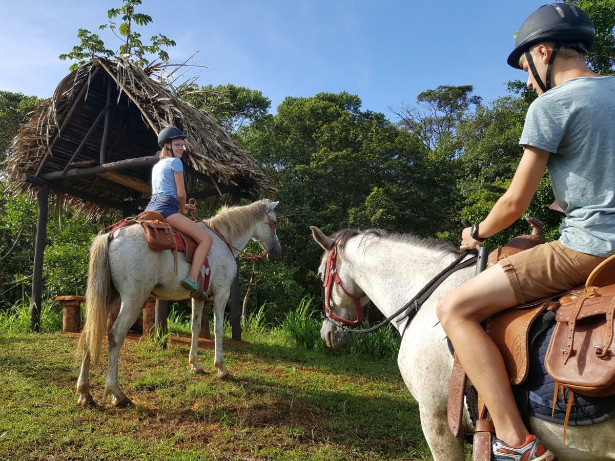Hacienda Mil Bellezas - Private 40Ha Jungle Reserve Quepos Exteriör bild